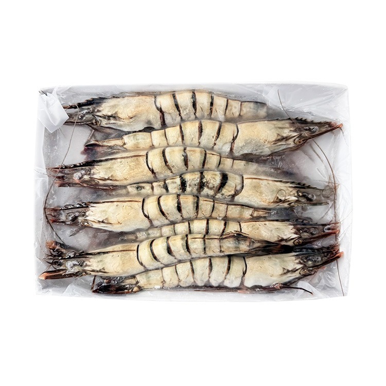 海草蝦 8P裝(實重420g/8尾/盒)#420-1D3B【魚大俠】SP152-細節圖2