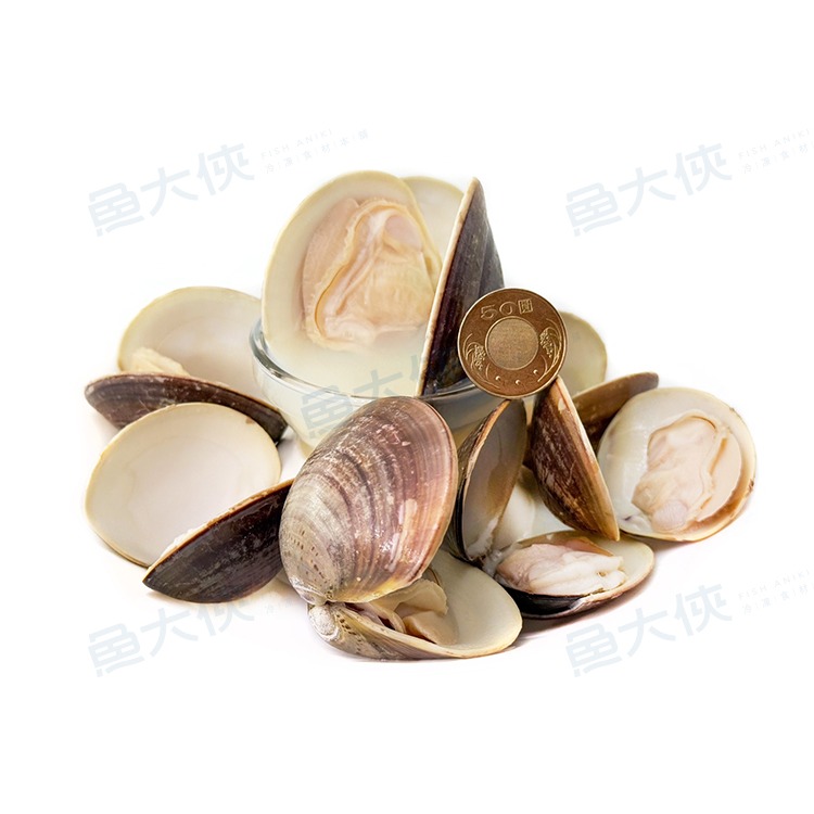 熟凍-巨蛤蠣/文蛤(7~10顆/500g/包)#帶殼蛤蜊-1H3B【魚大俠】BC077-細節圖2