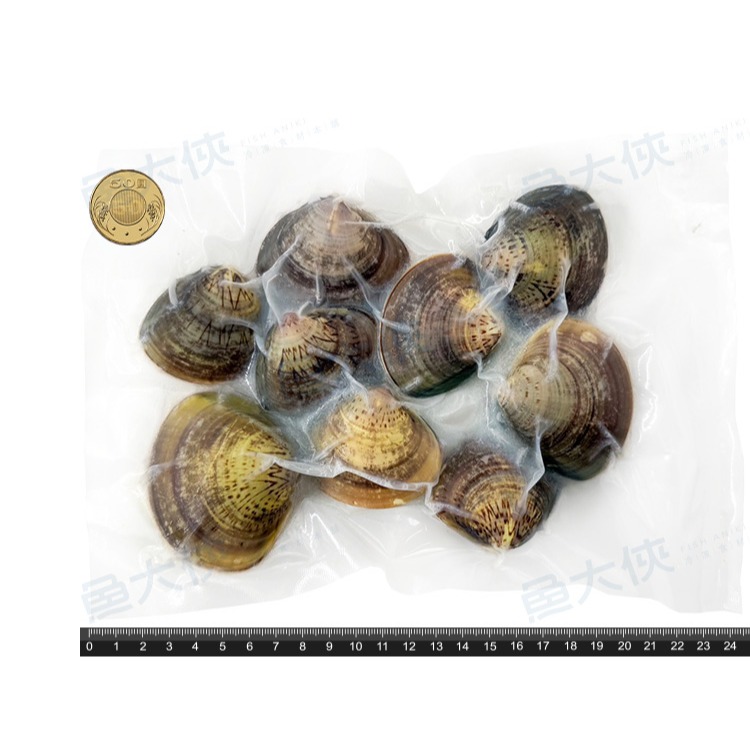 熟凍-巨蛤蠣/文蛤(7~10顆/500g/包)#帶殼蛤蜊-1H3B【魚大俠】BC077-細節圖3