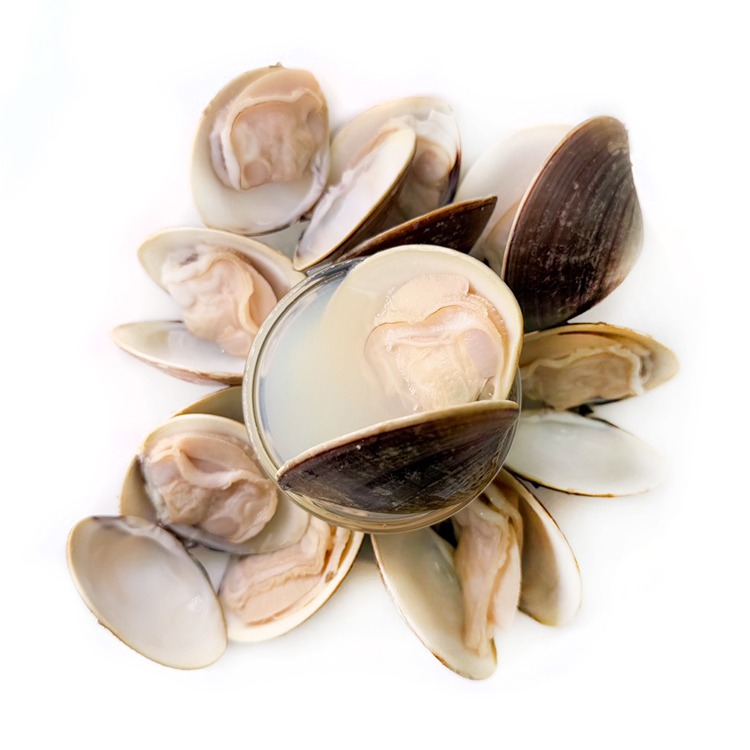 熟凍-巨蛤蠣/文蛤(7~10顆/500g/包)#帶殼蛤蜊-1H3B【魚大俠】BC077-細節圖5