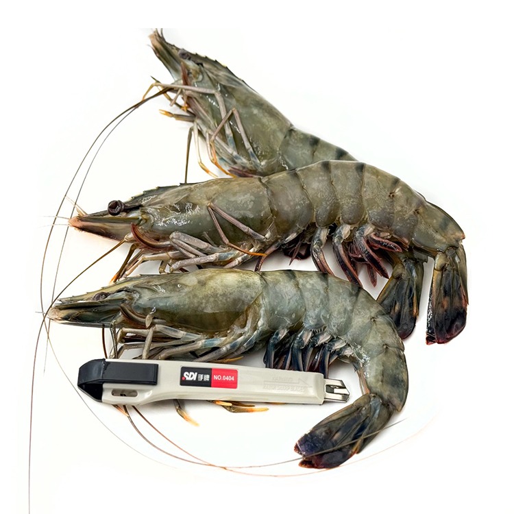 特大-野生海草蝦 3P裝(毛850g/實430g/盒)-1D3B【魚大俠】SP158-細節圖2