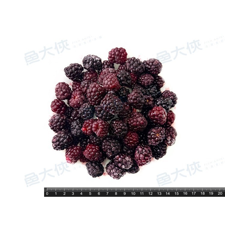 智利-冷凍黑莓鮮果/blackberry(300g/包)#冷凍水果-1J5B【魚大俠】AR332-細節圖3