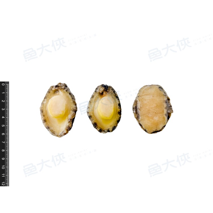 熟凍鮑魚清肉(10粒/300g/包)#去腸去肚-1H4B【魚大俠】BC078-細節圖4
