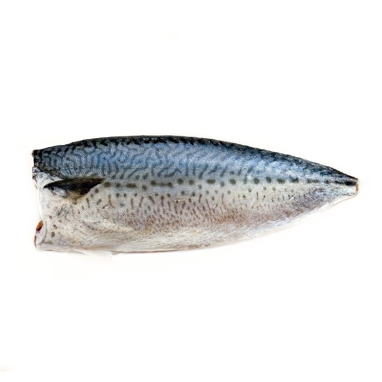 鹽漬-台灣鯖魚片(100~130g/片)-1G3B【魚大俠】FH407-細節圖3