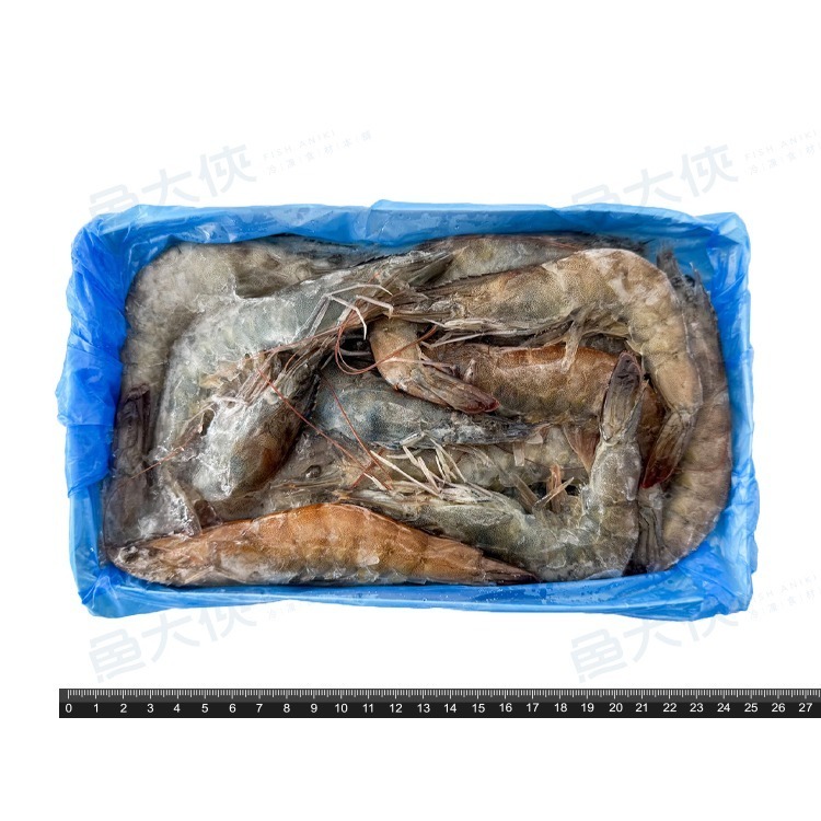 黃金湖黑盒特大規-生白蝦20/30 (480g/盒)#GOLDLAKE-1A6A【魚大俠】SP164-細節圖2