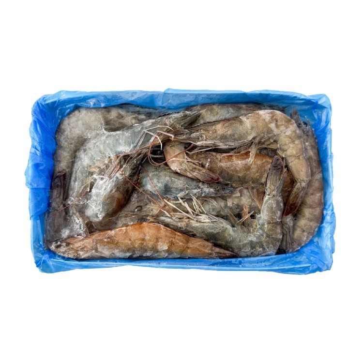 黃金湖黑盒特大規-生白蝦20/30 (480g/盒)#GOLDLAKE-1A6A【魚大俠】SP164-細節圖3