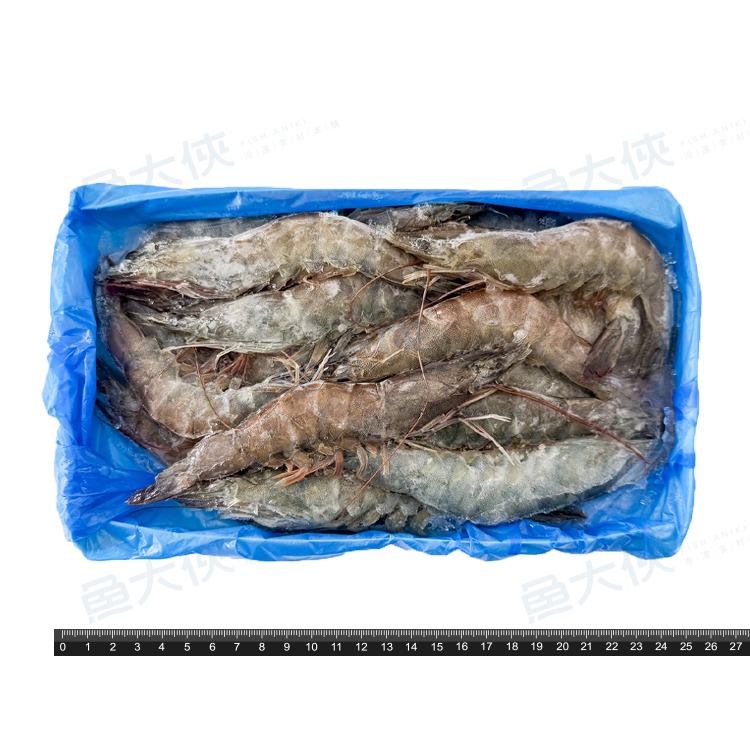 黃金湖黑盒-生白蝦30/40 (480g/盒)#GOLDLAKE-1A6A【魚大俠】SP165-細節圖2