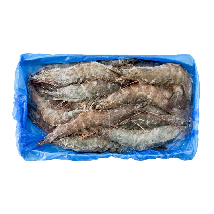 黃金湖黑盒-生白蝦30/40 (480g/盒)#GOLDLAKE-1A6A【魚大俠】SP165-細節圖3