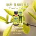 KDlive｜澳洲商品｜Thursday Plantation 茶樹純精油 25ml/50ml/100ml｜星期四農莊-規格圖4