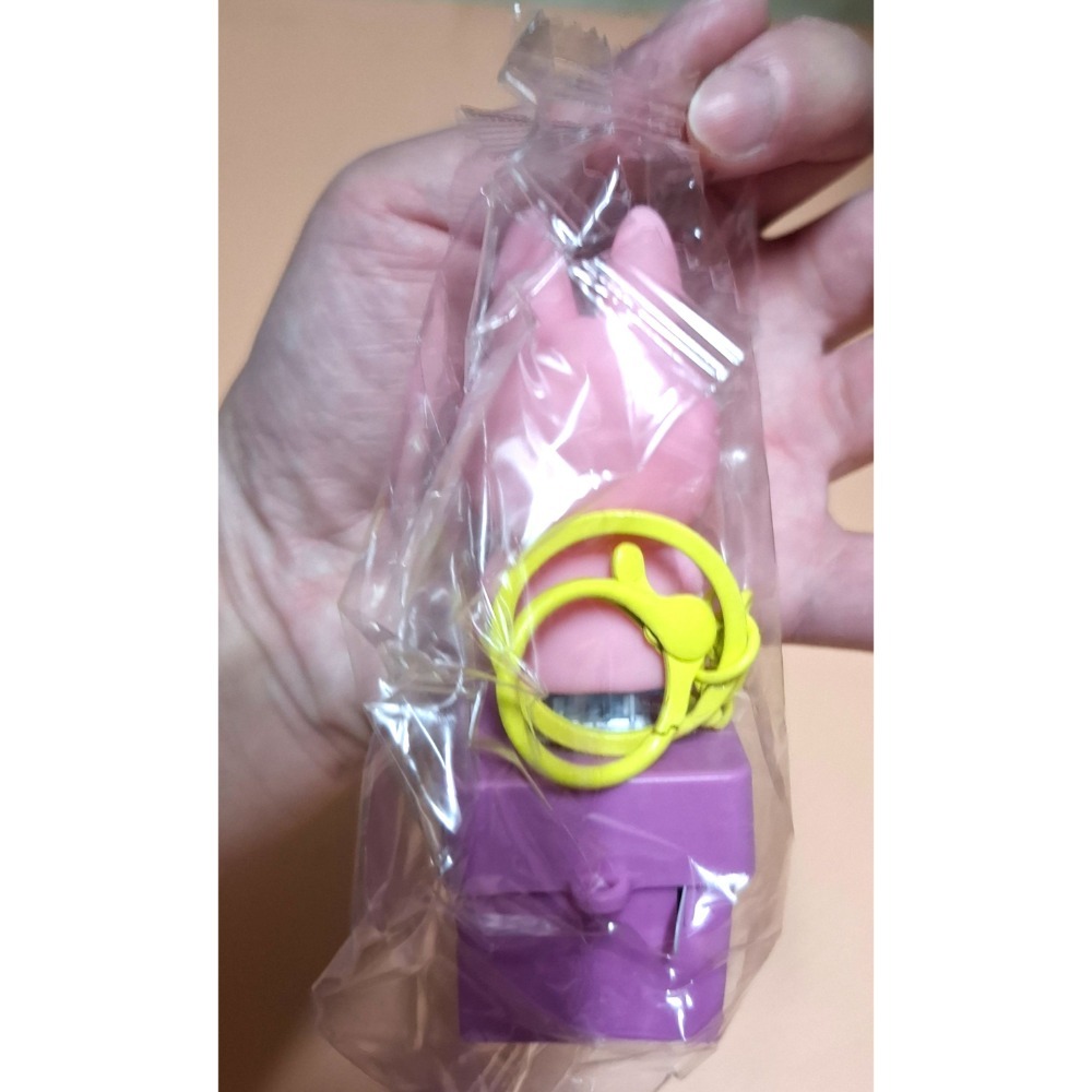 全新 LABUBU 鑰匙圈.鑰匙鏈 .按壓音樂鑰匙圈-細節圖5