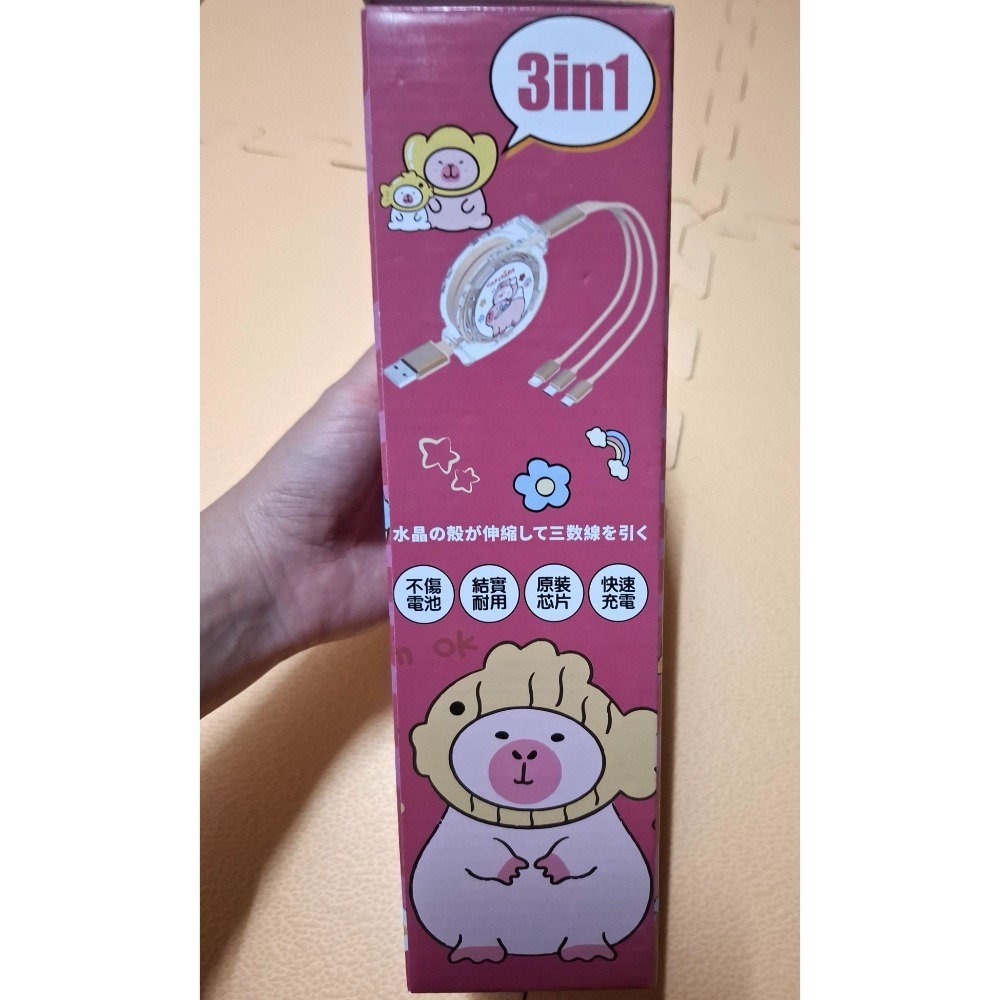 全新 卡皮巴拉  水豚君3in1傳輸線-細節圖2