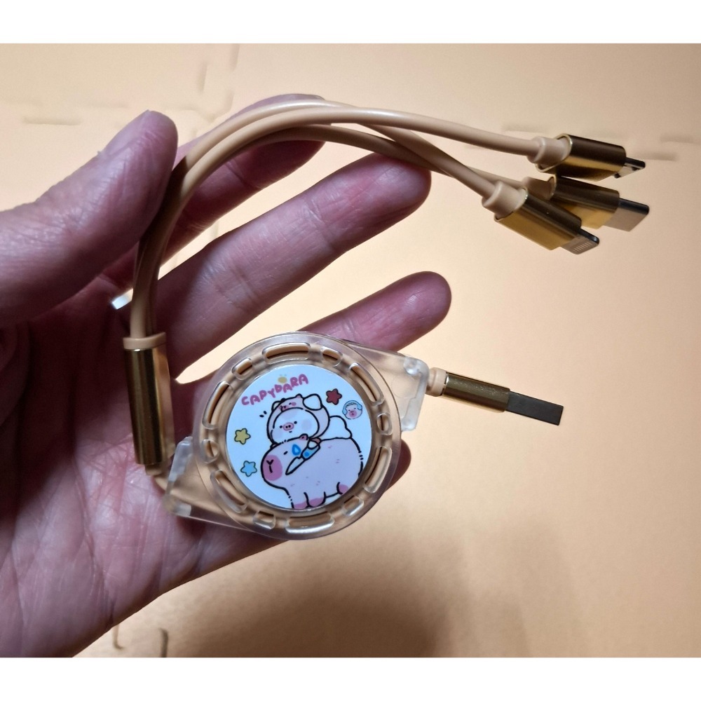 全新 卡皮巴拉  水豚君3in1傳輸線-細節圖3