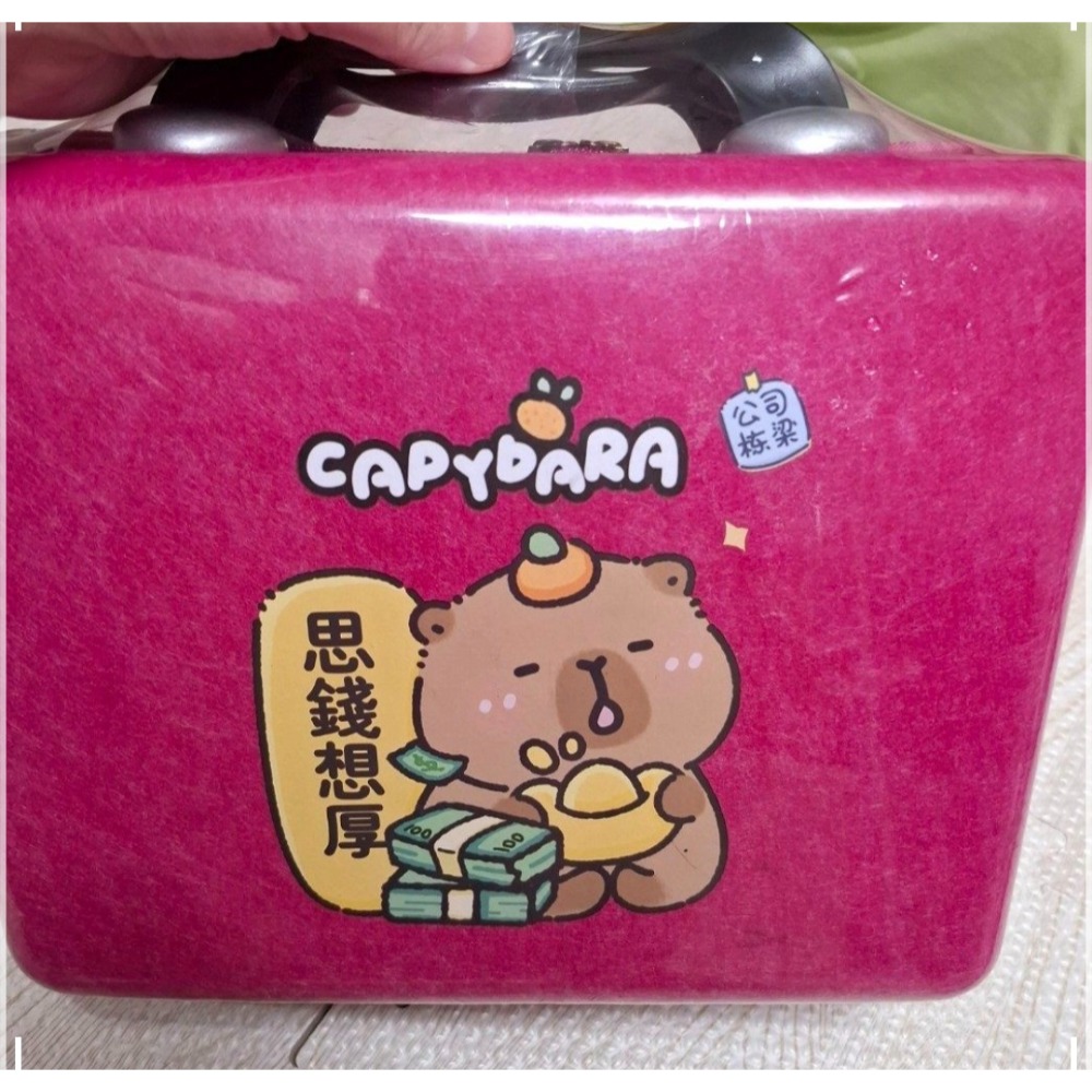全新 卡皮巴拉 水豚君 手提行李箱.化妝箱  旅行箱.收納盒-細節圖2