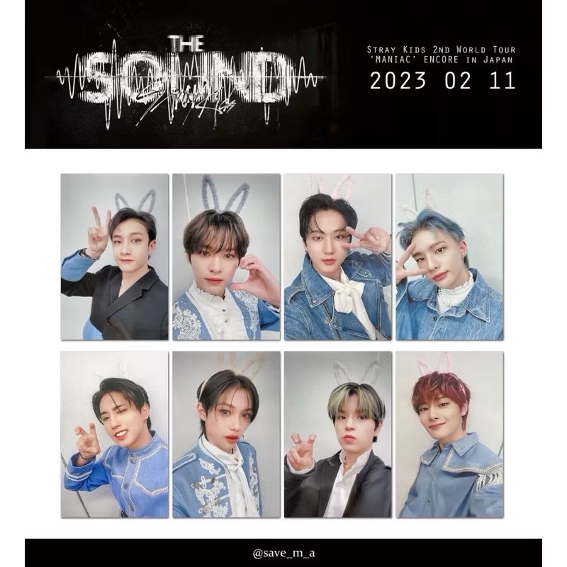Stray Kids 日本場限 單特典 官方小卡 兔耳-規格圖2