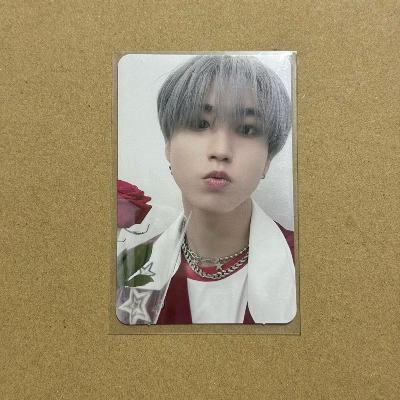 Stray Kids 5-STAR SWLD特典 帽踢 帽T 捧花 拿花 官方小卡 正版小卡-規格圖1