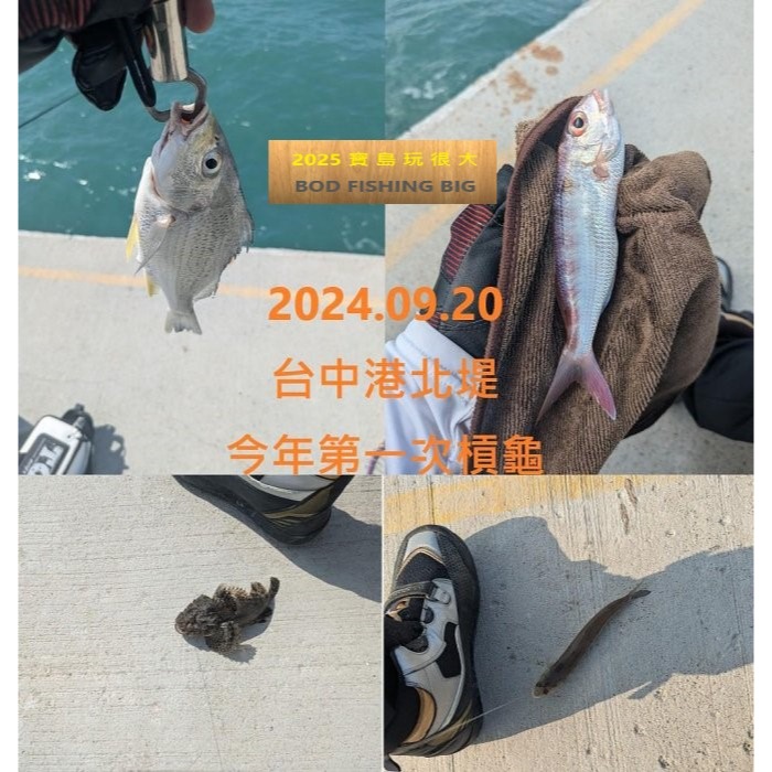 【寶島玩很大】中通鉛 修邊 不傷線 磯釣 浮標-細節圖2