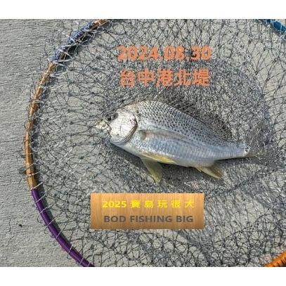 【寶島玩很大】中通鉛 修邊 不傷線 磯釣 浮標-細節圖3