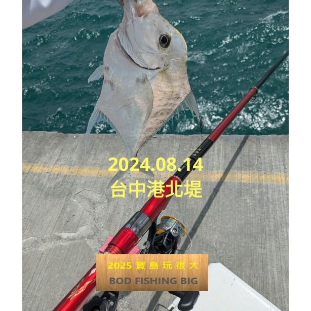 【寶島玩很大】中通鉛 修邊 不傷線 磯釣 浮標-細節圖4