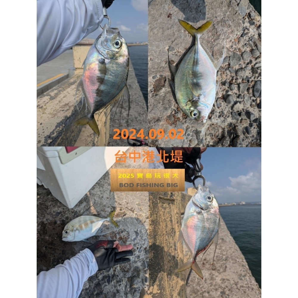 【寶島玩很大】子線 尼龍 100M 前導線 釣魚線-細節圖5