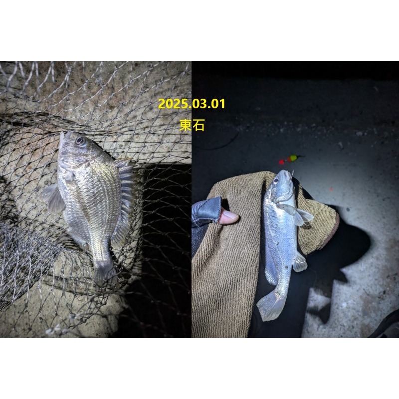 【寶島玩很大】子線 尼龍 100M 前導線 釣魚線-細節圖6