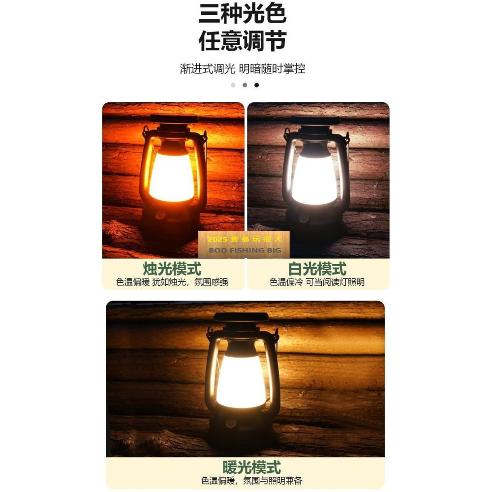 【寶島玩很大】氣氛燈 露營燈 USB type-c充電線-細節圖2