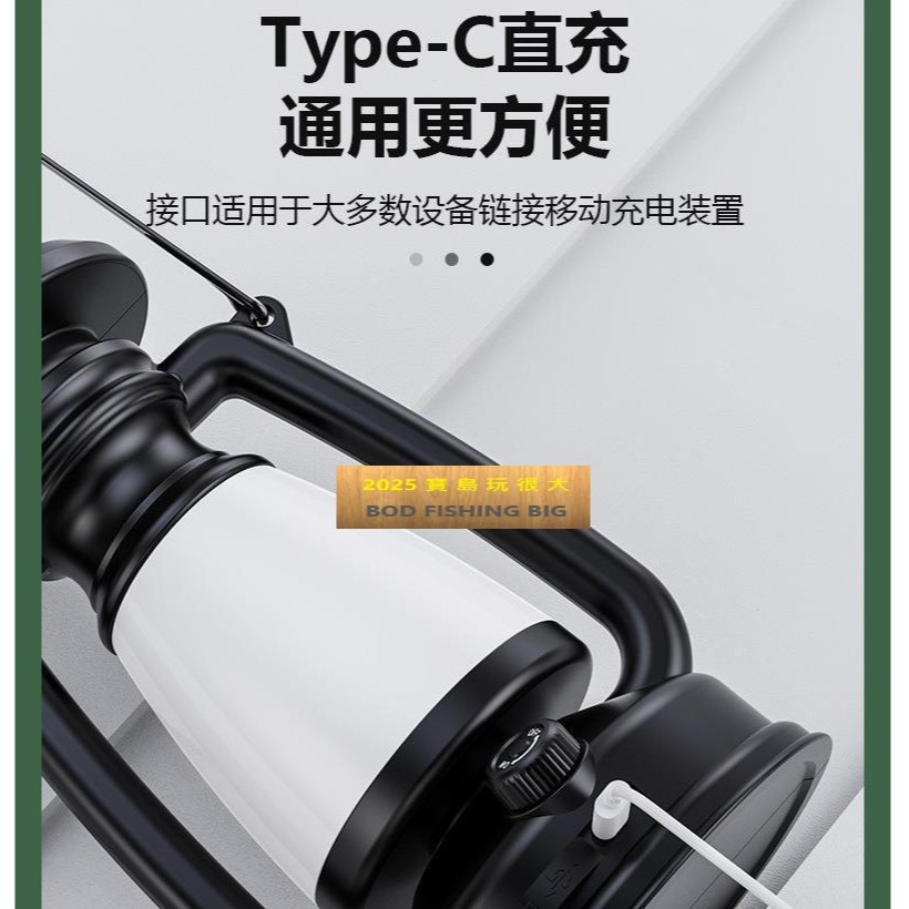 【寶島玩很大】氣氛燈 露營燈 USB type-c充電線-細節圖3