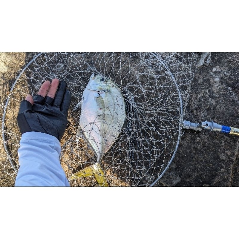 【寶島玩很大】轉接頭 變徑 網框 玉柄 撈網-細節圖5