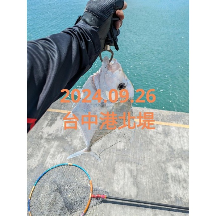 【寶島玩很大】8字環 美式轉環 磯釣 遠投 船釣-細節圖5