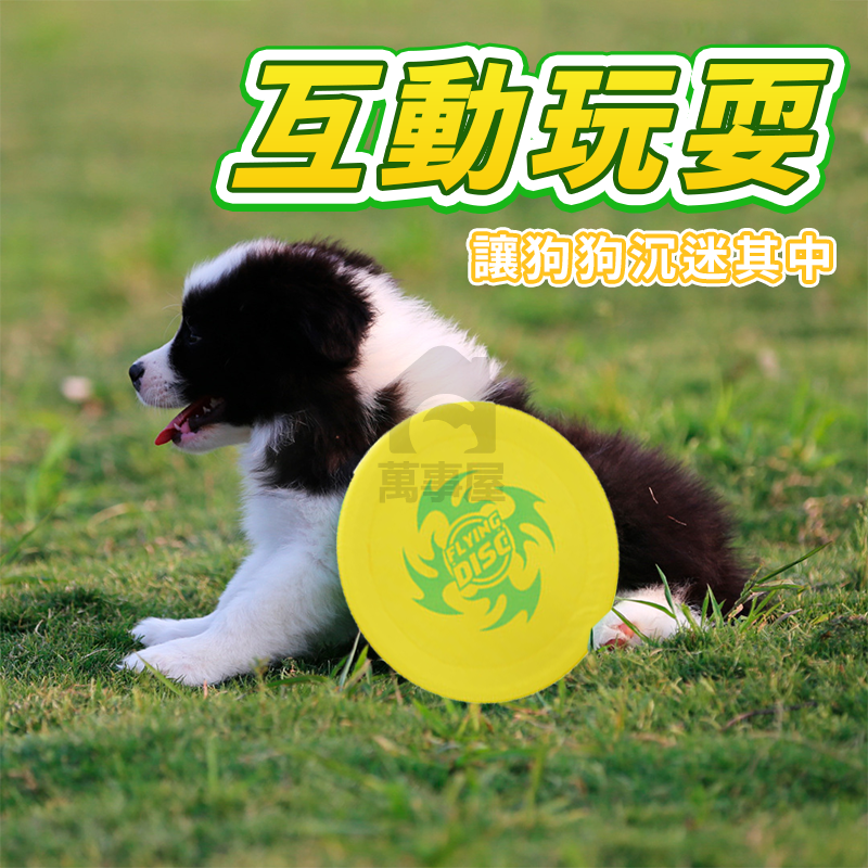 兒童布飛盤 寵物飛盤 寵物軟飛盤 狗狗飛盤 狗專用軟飛盤 兒童玩具 耐咬訓練飛 飛盤玩具 遊戲飛盤 布飛盤 A0660-細節圖4