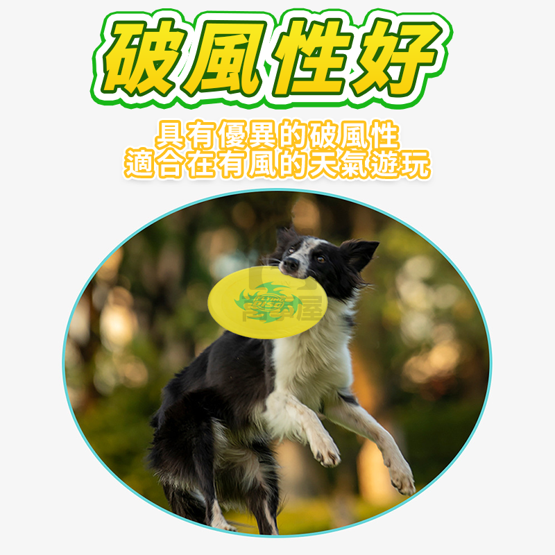 兒童布飛盤 寵物飛盤 寵物軟飛盤 狗狗飛盤 狗專用軟飛盤 兒童玩具 耐咬訓練飛 飛盤玩具 遊戲飛盤 布飛盤 A0660-細節圖7