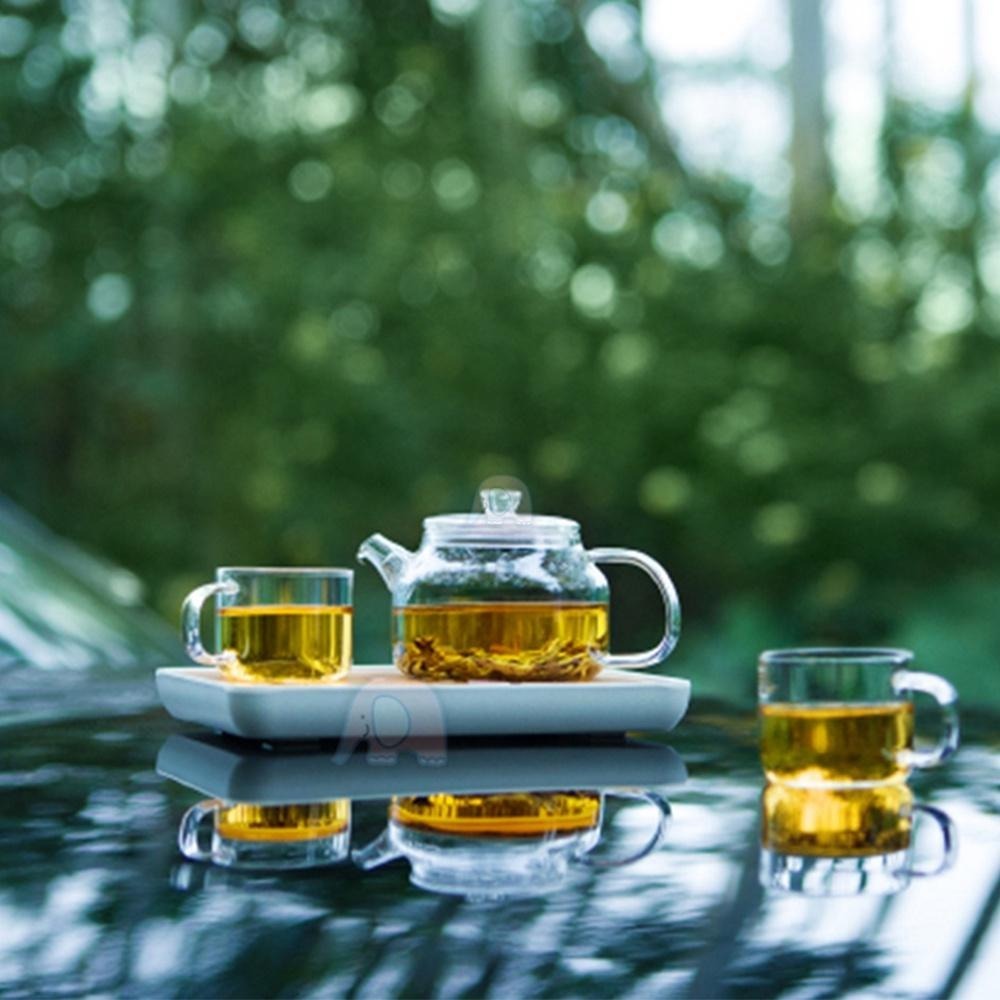 旅行茶具套裝組-1壺4杯1盤1包(玻璃壺/玻璃瓶/水瓶/冷水瓶/冷水壺/飲料壺/咖啡壺/廚之坊/Linox)-細節圖2
