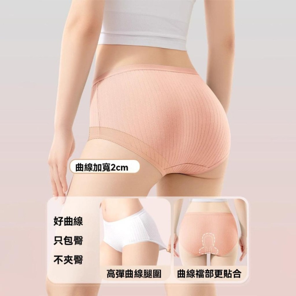 秒速出貨 新款巴迪高7日拋 純棉免洗內褲 一次性內褲 女生免洗褲 內褲 旅行內褲 孕婦內褲 免洗內褲 拋棄式內褲 免洗-細節圖5