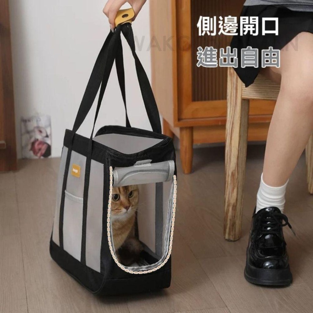 台灣現貨 硬底透氣寵物外出包  贈風扇 貓咪外出包 寵物包 小狗外出包 外出籠 側背包 單肩包 網狀包 貓包 狗包 包-細節圖4