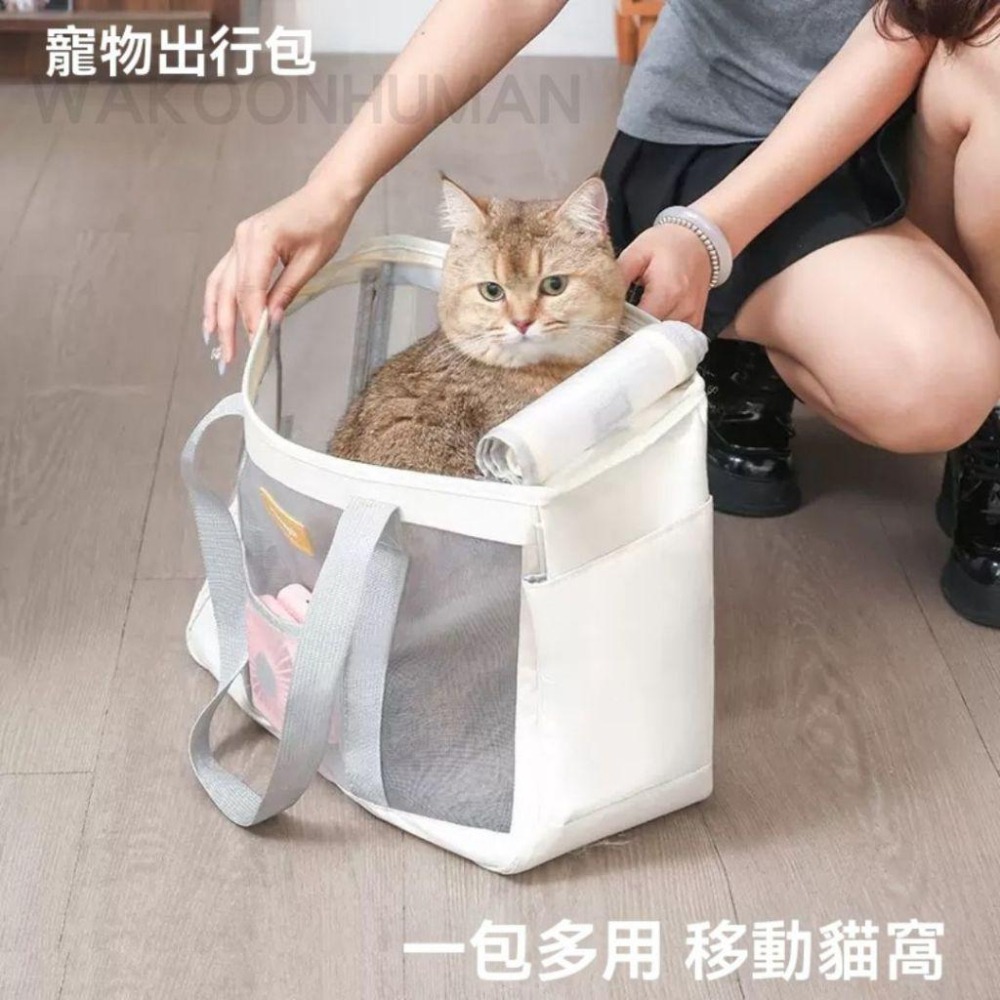 台灣現貨 硬底透氣寵物外出包  贈風扇 貓咪外出包 寵物包 小狗外出包 外出籠 側背包 單肩包 網狀包 貓包 狗包 包-細節圖6