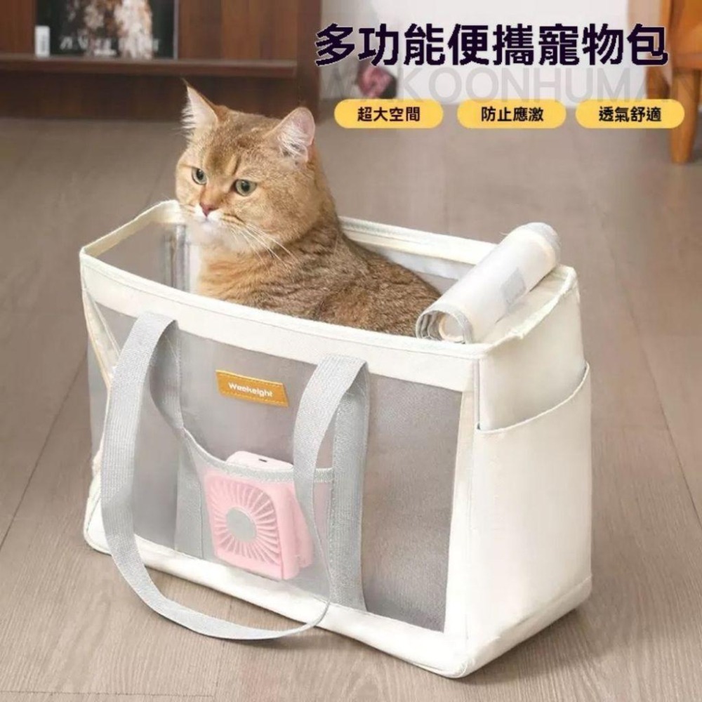 台灣現貨 硬底透氣寵物外出包  贈風扇 貓咪外出包 寵物包 小狗外出包 外出籠 側背包 單肩包 網狀包 貓包 狗包 包-細節圖9