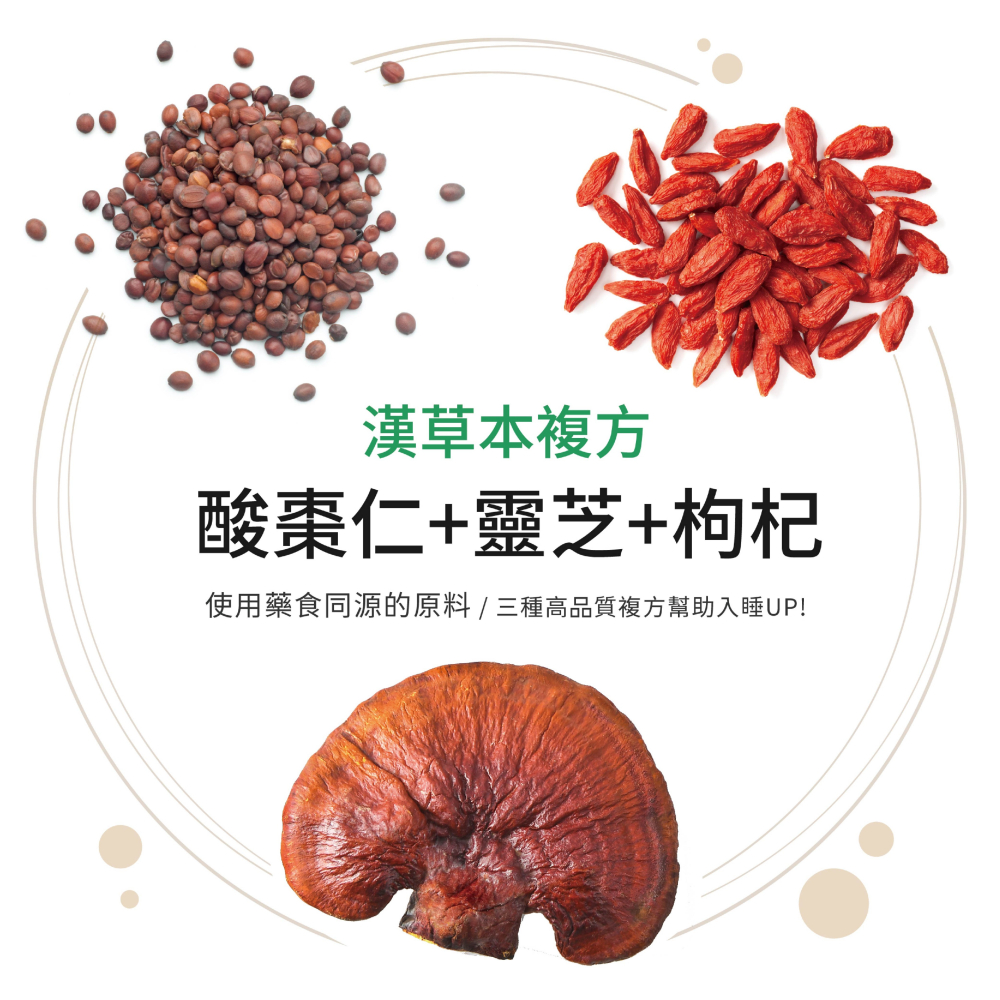 明日益生菌 30顆/包 夜間好眠 茶胺酸 酸棗仁 靈芝 枸杞 漢草本複方 益生菌 美術藥局 公司貨【限時買一送一】-細節圖6