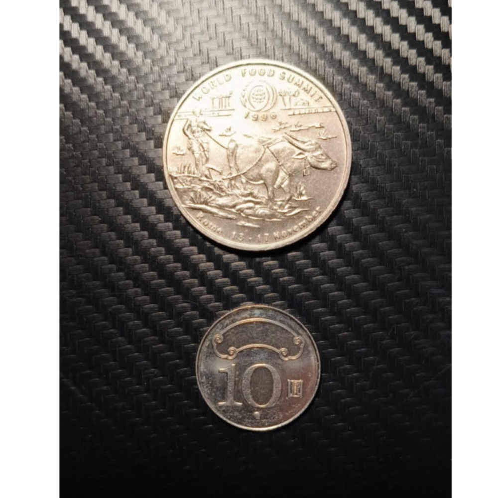 1996年 遼國 農糧組織紀念幣 外國錢幣 亞洲錢幣 貨幣 鈔票 鈔 錢幣-細節圖3