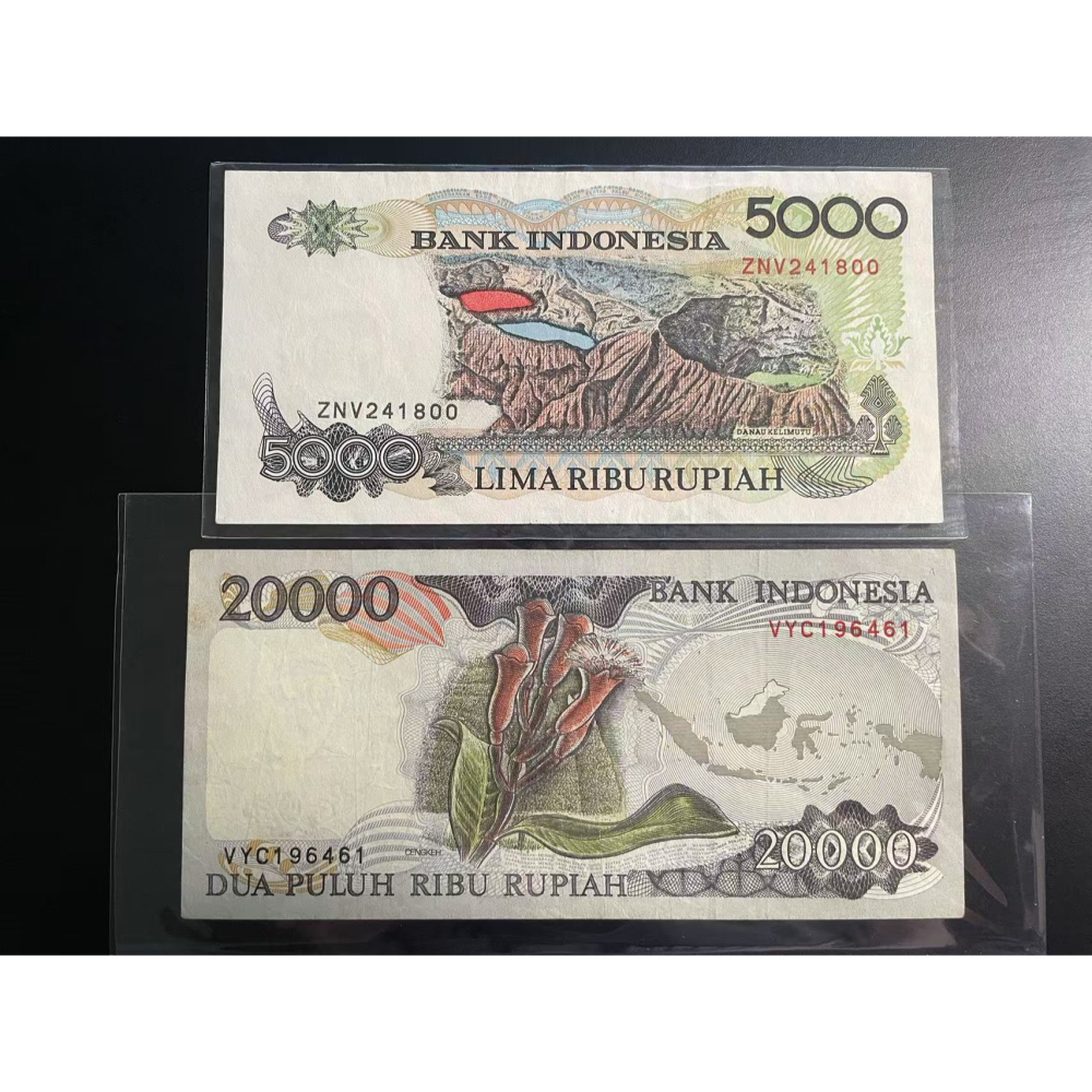 印尼盾 印度尼西亞 印尼 印尼1995 年 Rp20000 天堂鳥圖案 絕版少見-細節圖2