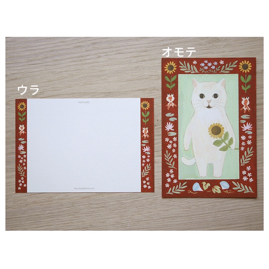 ⎪厭世文具⎪日本知名插畫 4legs 白貓明信片-細節圖6