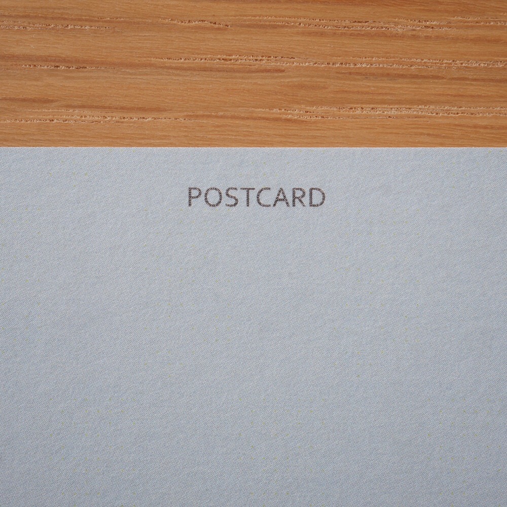 ⎪厭世文具⎪日本知名插畫 4legs 長毛貓明信片-細節圖6