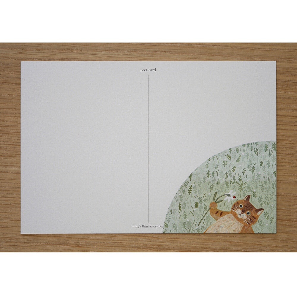⎪厭世文具⎪日本知名插畫 4legs 草原上的貓明信片-細節圖3