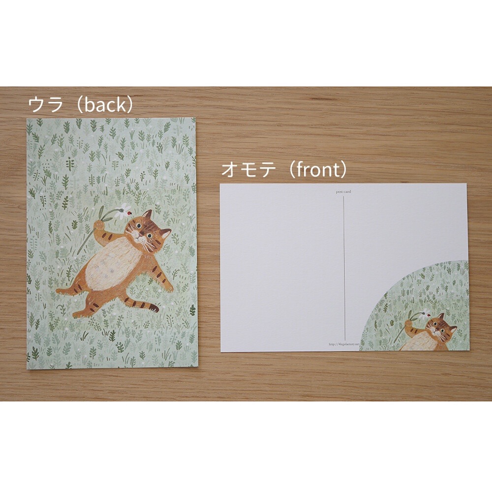 ⎪厭世文具⎪日本知名插畫 4legs 草原上的貓明信片-細節圖4