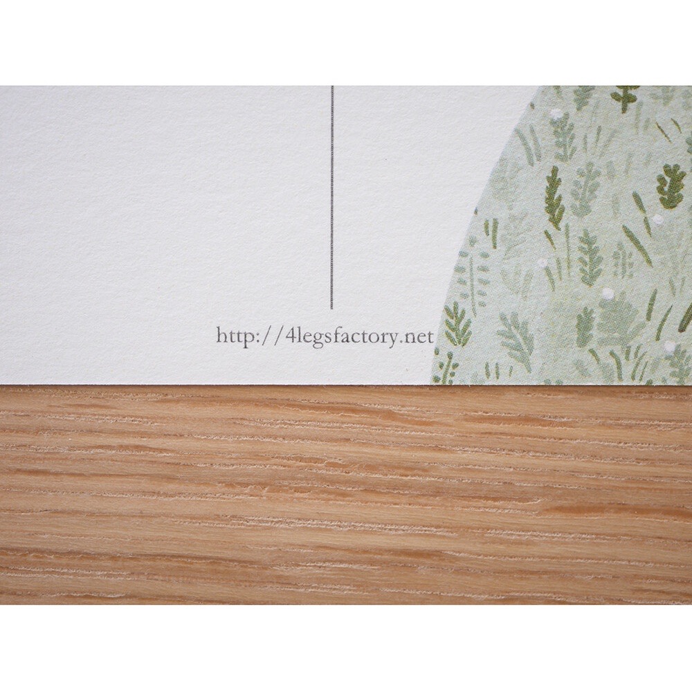 ⎪厭世文具⎪日本知名插畫 4legs 草原上的貓明信片-細節圖6