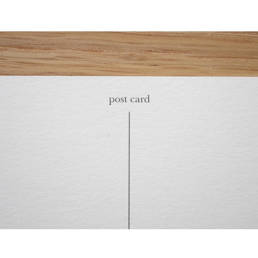 ⎪厭世文具⎪日本知名插畫 4legs 草原上的貓明信片-細節圖7