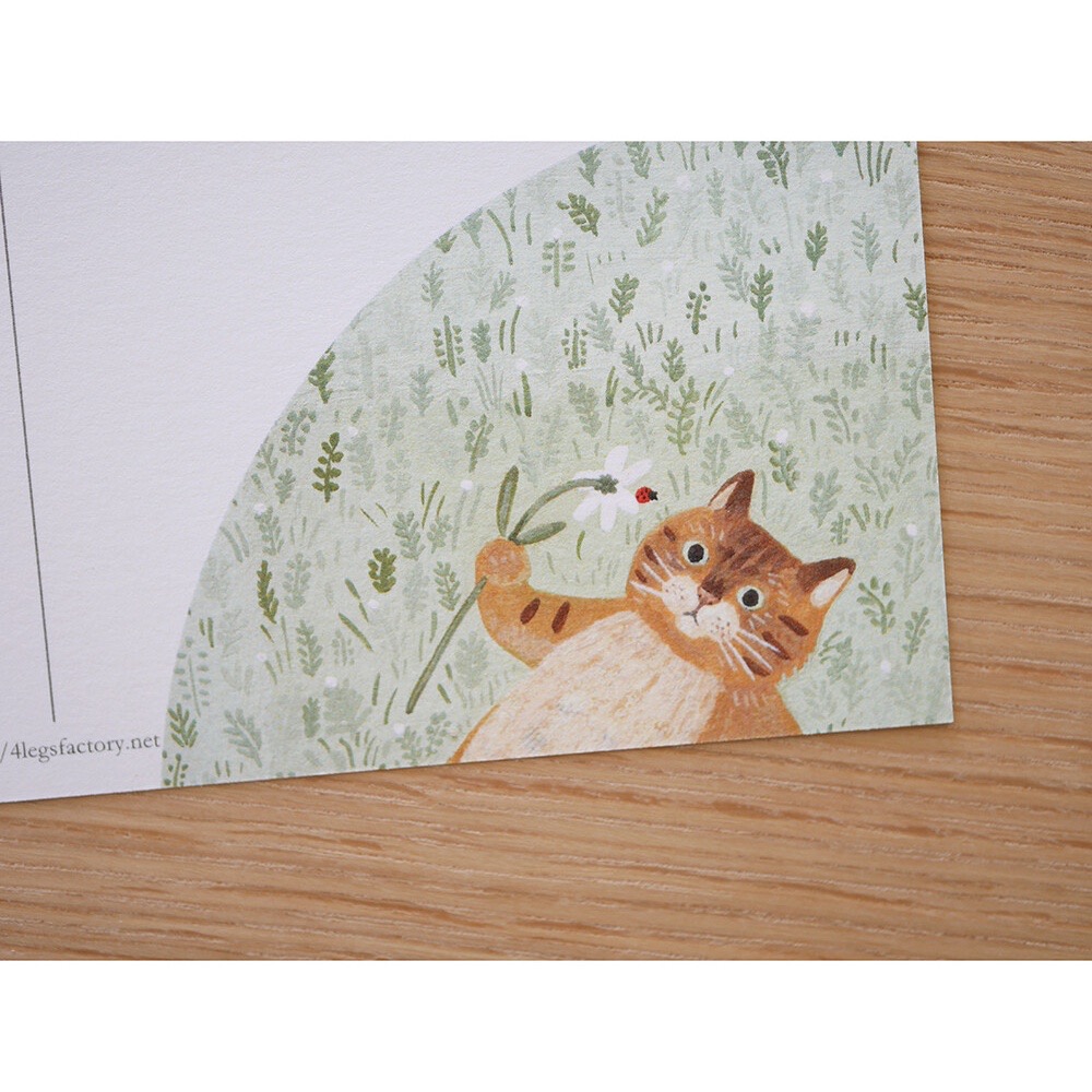 ⎪厭世文具⎪日本知名插畫 4legs 草原上的貓明信片-細節圖8