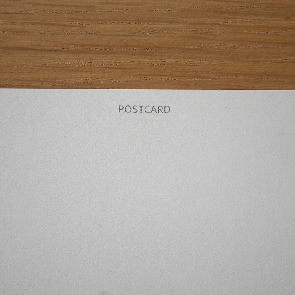 ⎪厭世文具⎪日本知名插畫 4legs 棕虎斑貓明信片-細節圖6