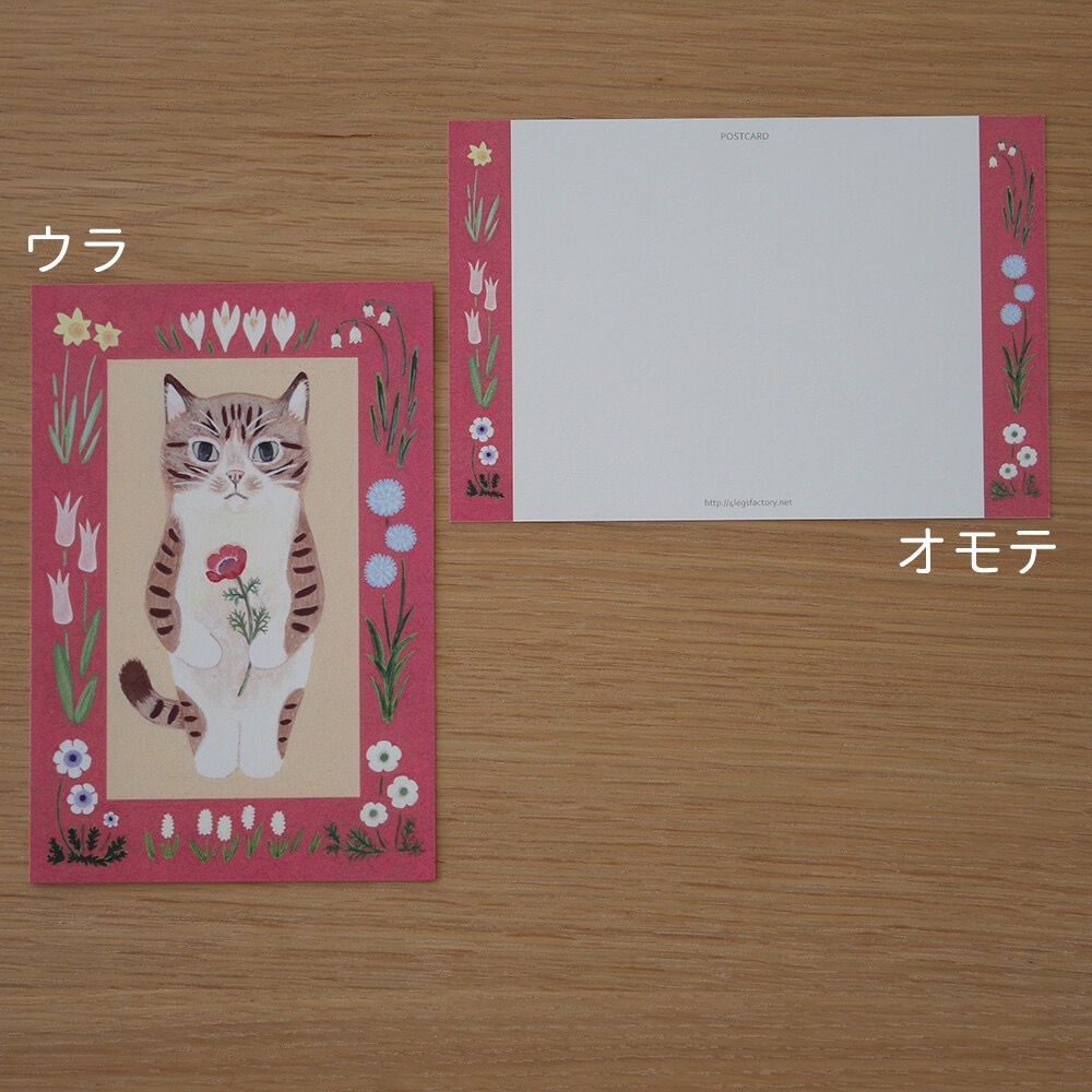 ⎪厭世文具⎪日本知名插畫 4legs 棕虎斑貓明信片-細節圖8