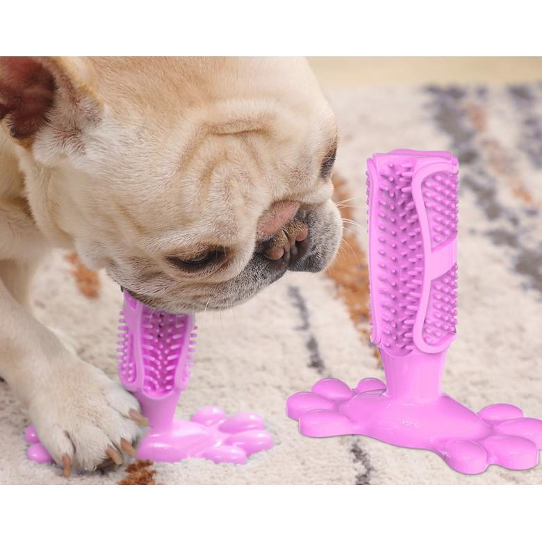 寵物牙刷/護齒潔牙棒/磨牙骨/磨牙棒/狗狗牙刷-細節圖2