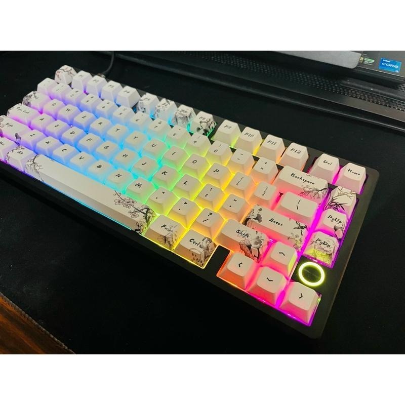 代理 |江灣Su68&Su75青春版 磁軸-細節圖8