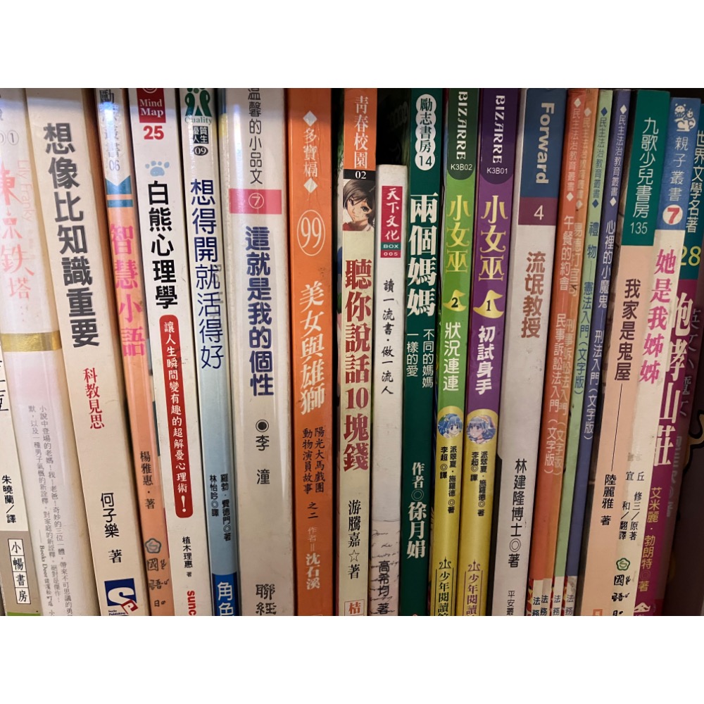二手書 一本100元-細節圖7